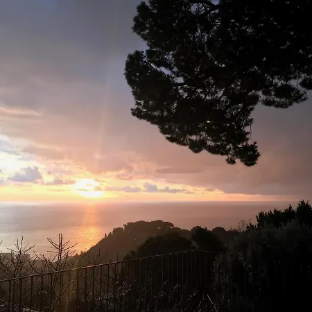L'alivella - La Bergerie Feriehus Bastia (Corsica)