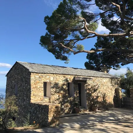 L'alivella - La Bergerie Bastia (Corsica)